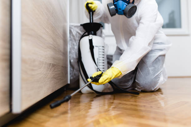 Best Wildlife Control Services  in Old Miakka, FL
