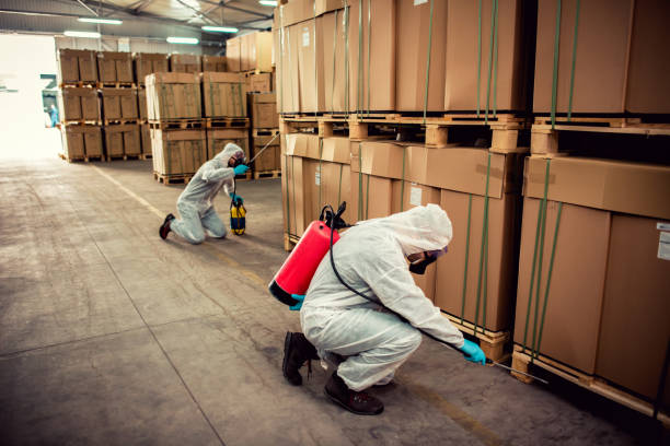 Best Termite Control Services  in Old Miakka, FL