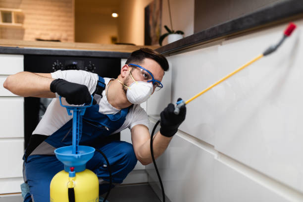 Best Flea Control Services  in Old Miakka, FL