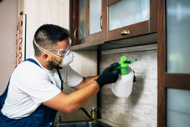 Best Pest Removal Services  in Old Miakka, FL
