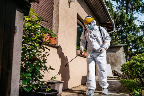 Wasp Removal Services in Old Miakka, FL