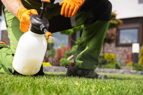 Pest Control Cost in Old Miakka, FL