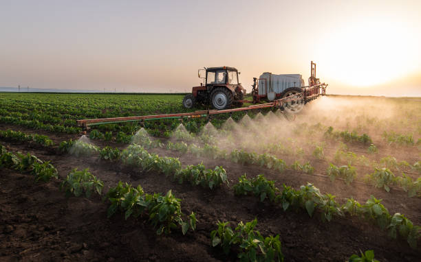 Best Mosquito Control Services  in Old Miakka, FL