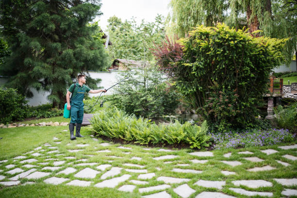 Best Wasp Removal Services  in Old Miakka, FL