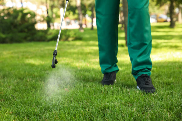Best Best Pest Control Companies  in Old Miakka, FL