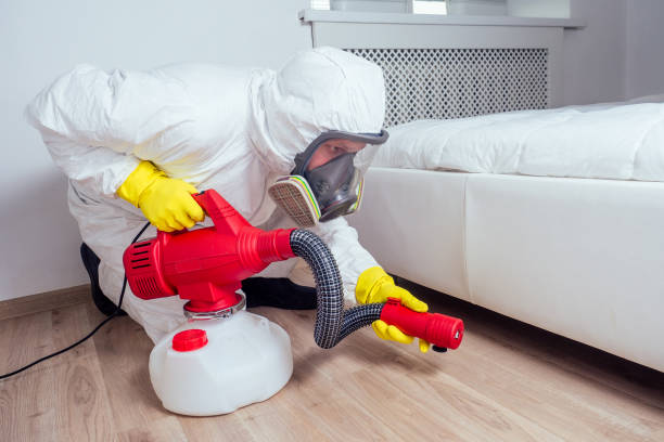 Best Affordable Pest Control Services  in Old Miakka, FL