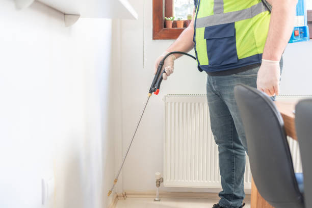 Best Termite Control Services  in Old Miakka, FL