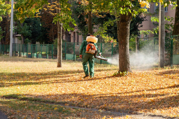 Best Pest Removal Services  in Old Miakka, FL