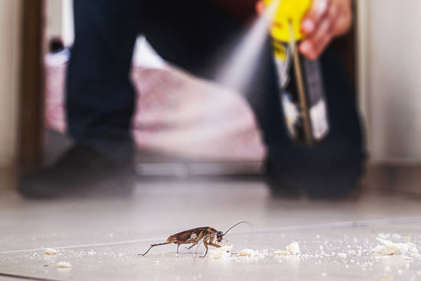 Best Pest Control Treatment  in Old Miakka, FL