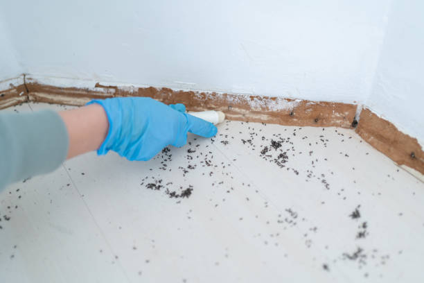 Best Commercial Pest Control Services  in Old Miakka, FL