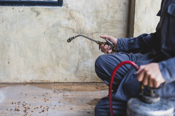 Best Pest Control Cost  in Old Miakka, FL